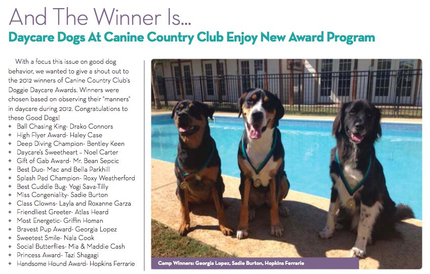 Daycare Dogs New Award Program
