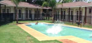 More Fun in the Sun!